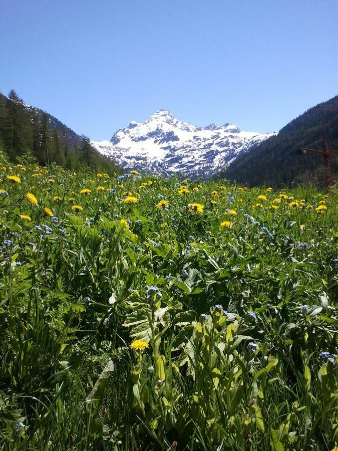 Frühstückspension La Niche